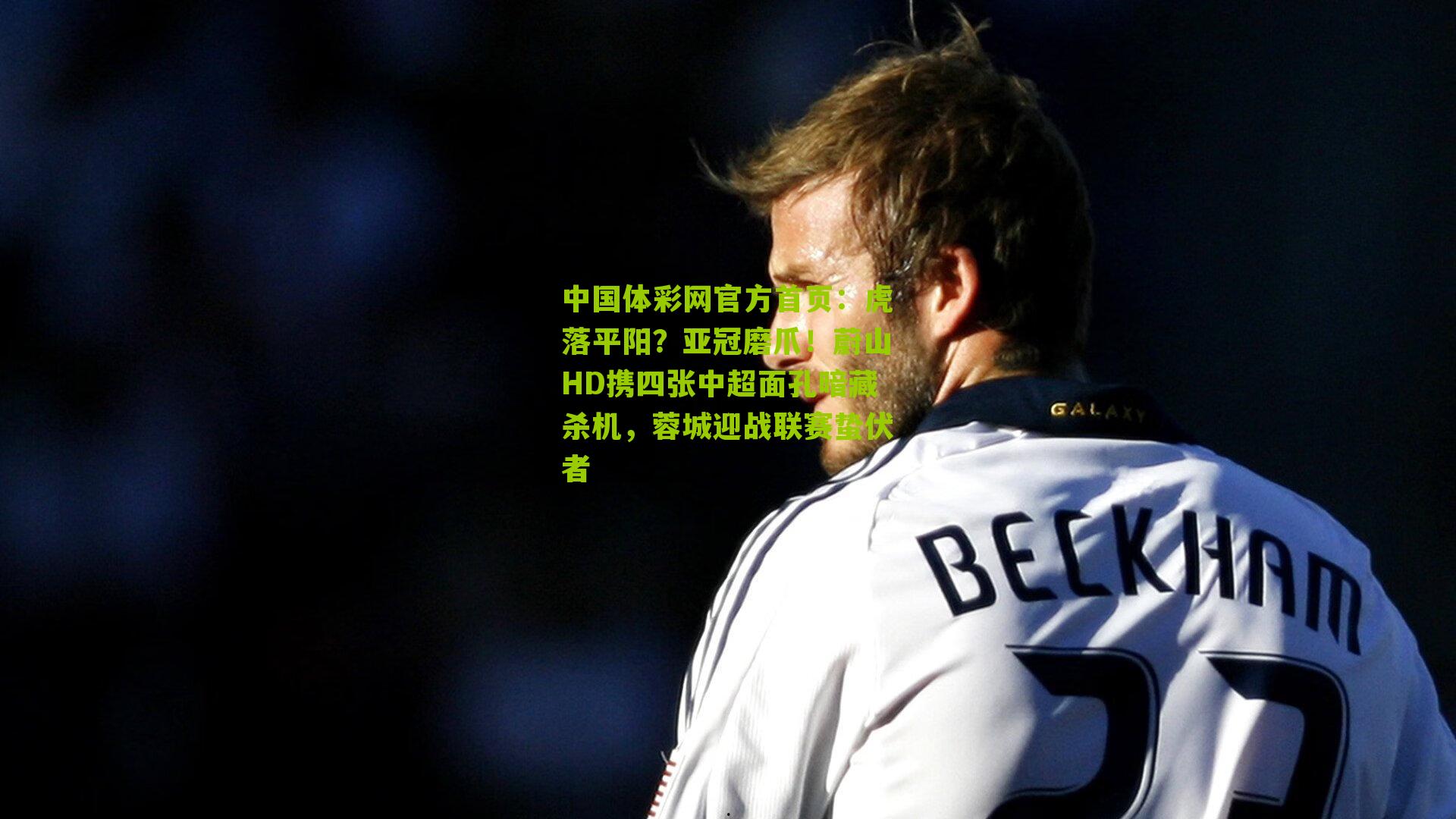 虎落平阳？亚冠磨爪！蔚山HD携四张中超面孔暗藏杀机，蓉城迎战联赛蛰伏者