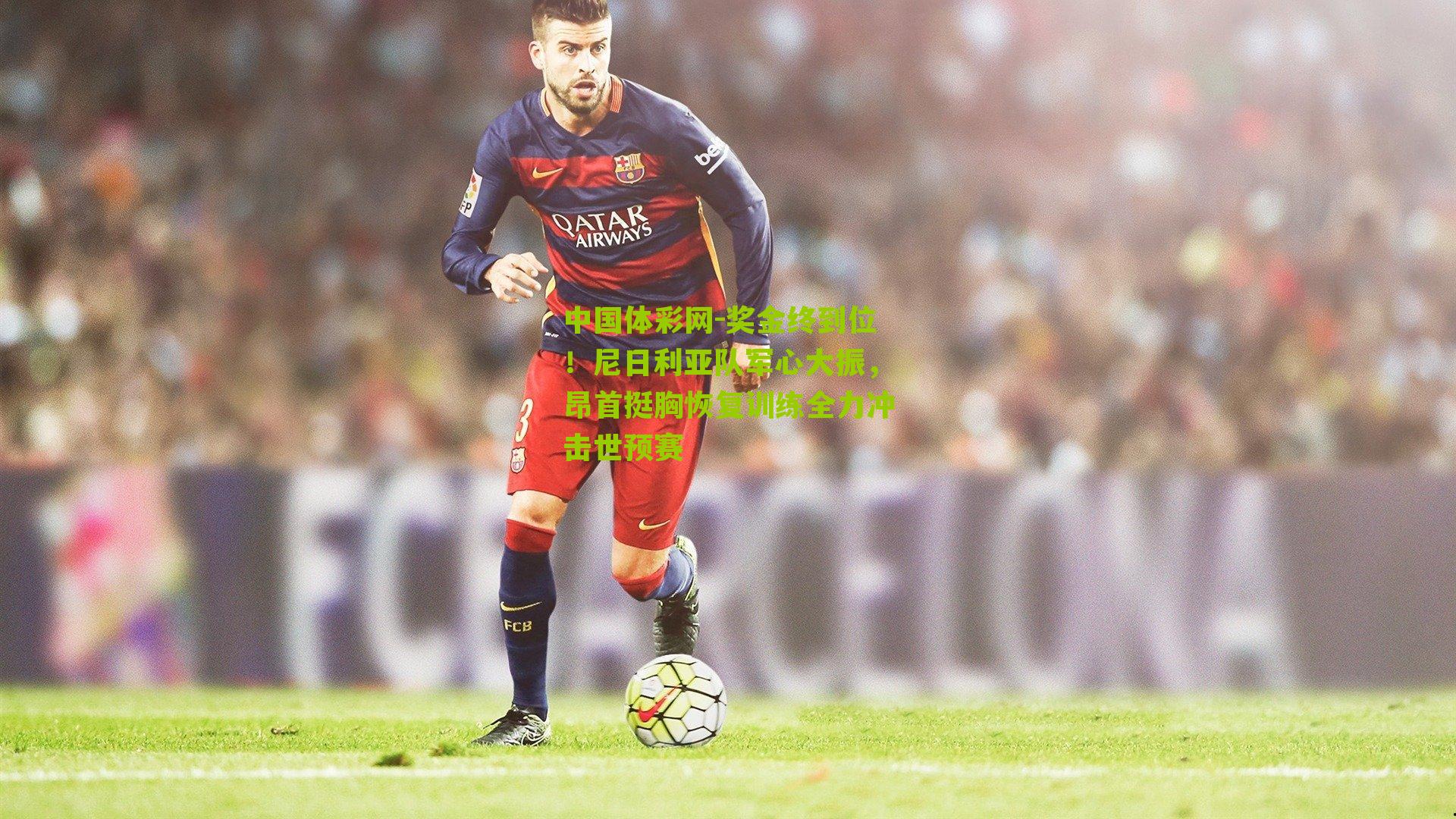 奖金终到位！尼日利亚队军心大振，昂首挺胸恢复训练全力冲击世预赛