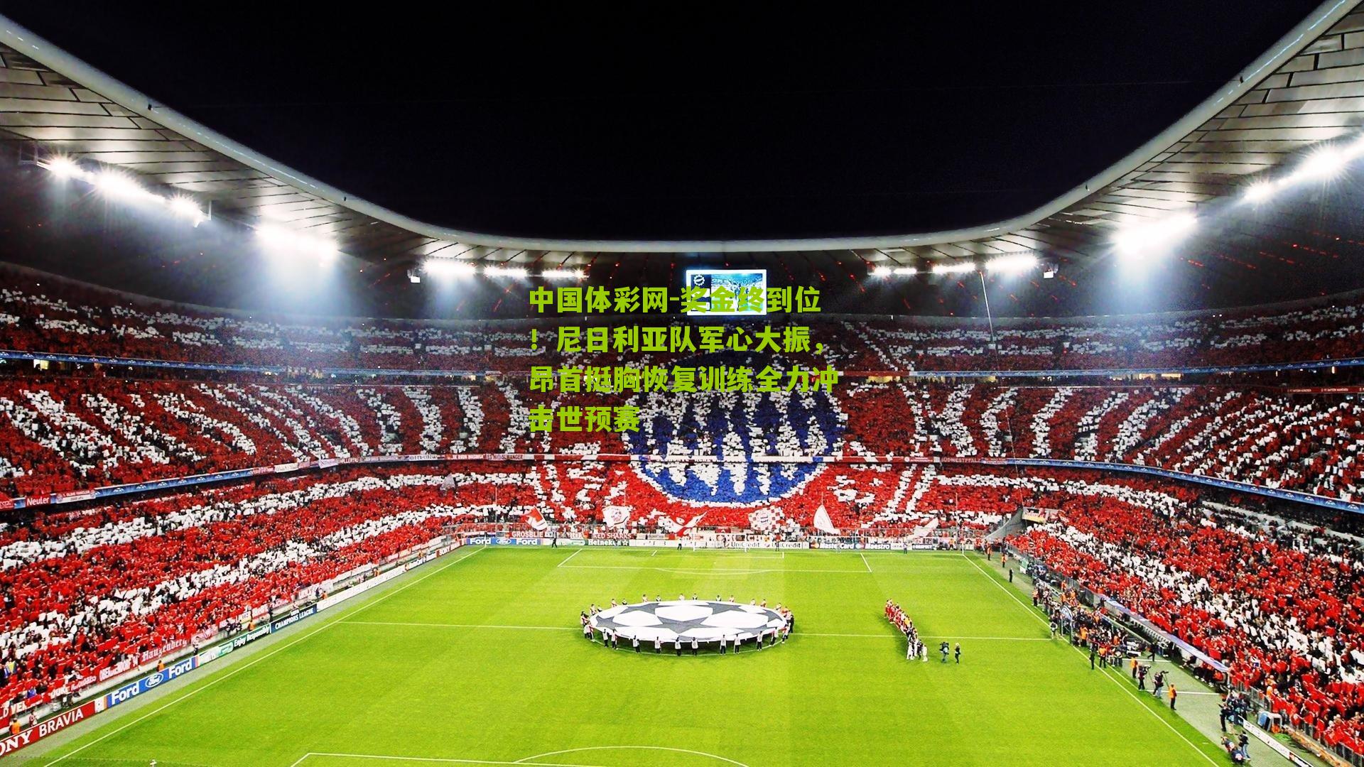 奖金终到位！尼日利亚队军心大振，昂首挺胸恢复训练全力冲击世预赛